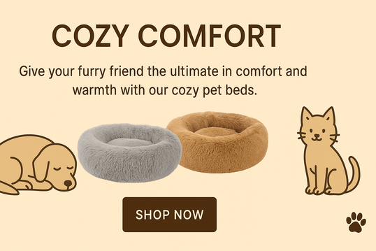 Cozy Comfort