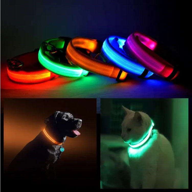 LED Pet Safety Collar 💡🐾 Rechargeable Halo-Style Visibility Collar for Dogs & Cats