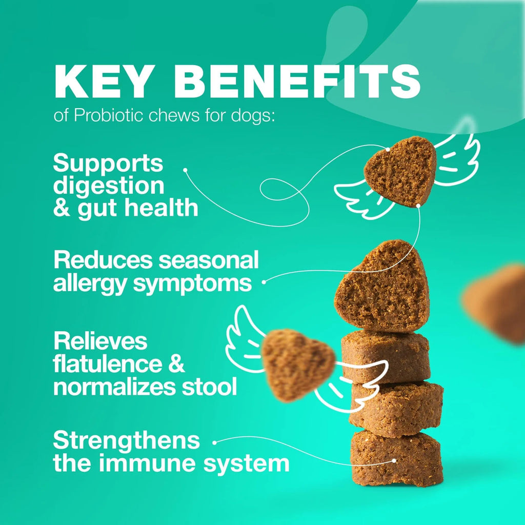 Probiotic Wellness Chews for Dogs 🐾 Daily Digestive Balance & Gut Support