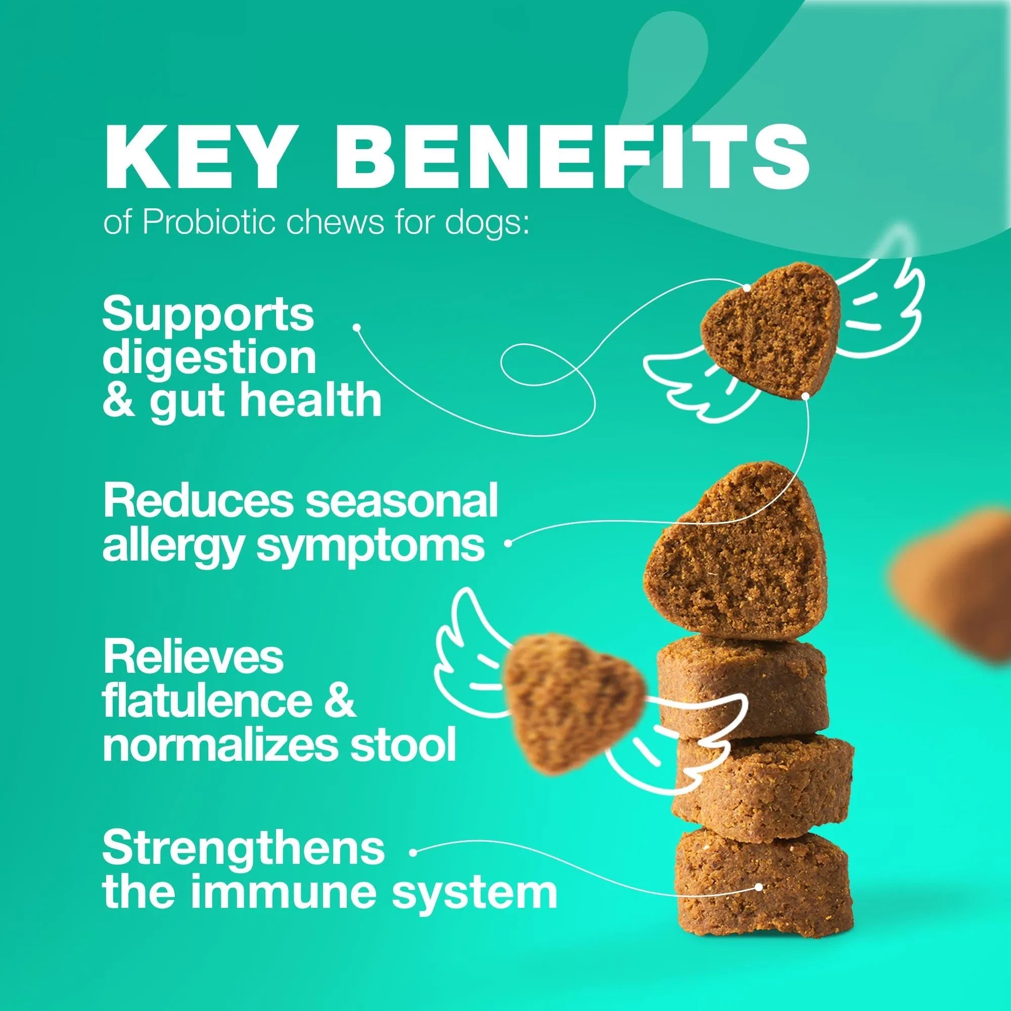Probiotic Wellness Chews for Dogs 🐾 Daily Digestive Balance & Gut Support