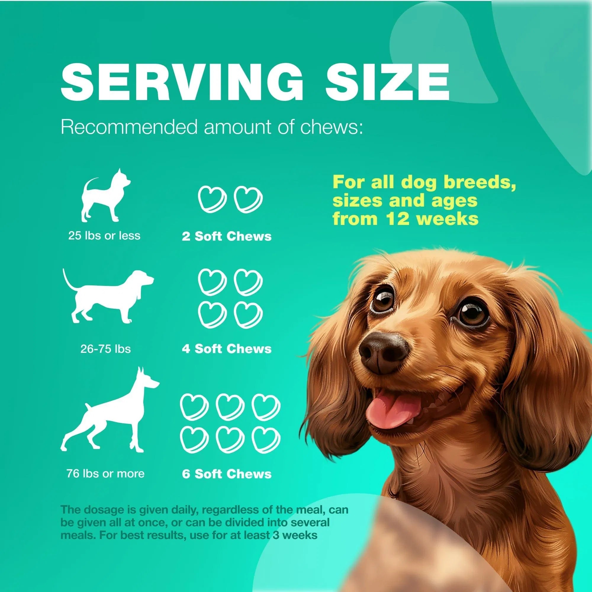 Probiotic Wellness Chews for Dogs 🐾 Daily Digestive Balance & Gut Support