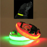 LED Pet Safety Collar 💡🐾 Rechargeable Halo-Style Visibility Collar for Dogs & Cats