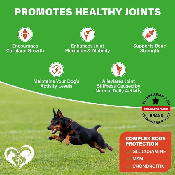 Daily Joint Support Chews for Dogs 🐾 with Glucosamine & Chondroitin