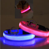 LED Pet Safety Collar 💡🐾 Rechargeable Halo-Style Visibility Collar for Dogs & Cats