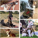 Luxury Pet Harness & Leash Set 🐾 Adjustable Camouflage Nylon for Dogs