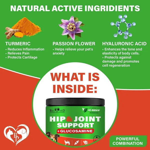 Daily Joint Support Chews for Dogs 🐾 with Glucosamine & Chondroitin