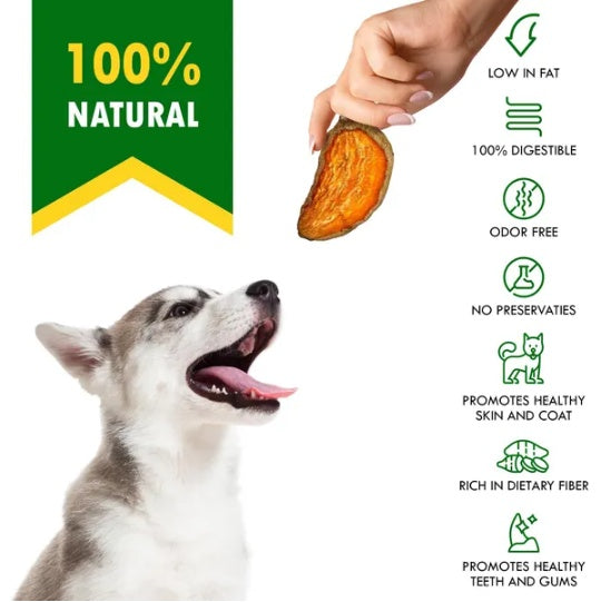 Sweet Potato Dog Treats 🍠🐾 Healthy Crunchy Chips (10.6 oz / 300g)