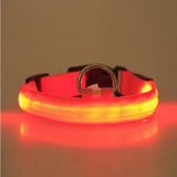 LED Pet Safety Collar 💡🐾 Rechargeable Halo-Style Visibility Collar for Dogs & Cats