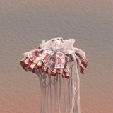 Pet Lace Bib: Playful Elegance for Pets!