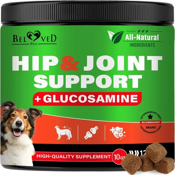 Daily Joint Support Chews for Dogs 🐾 with Glucosamine & Chondroitin