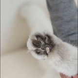 Rechargeable Pet Paw & Hair Trimmer 🐾 Waterproof, Quiet & LED Precision Grooming Tool